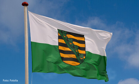  wehende Sachsenflagge mit Wappen am Flaggenmast