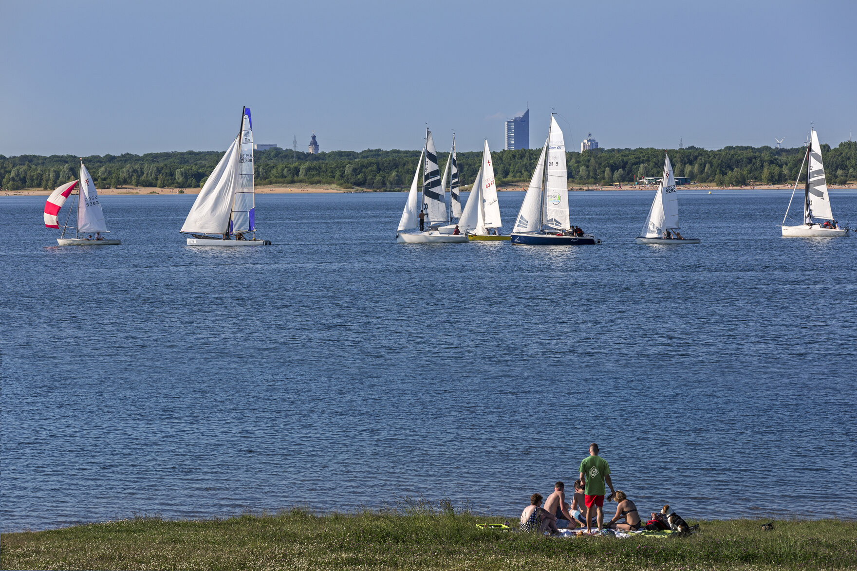 Segelboote auf dem Cospudener See