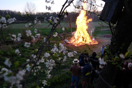 Ein Feuer brennt am Abend. 