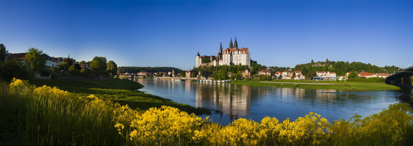 Blick über das Elbtal in Richtung Albrechtsburg Meißen 