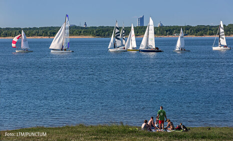 Segelboote auf dem Cospudener See