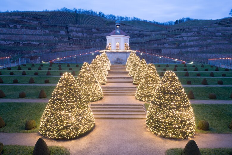 Mit Lichterketten beleuchtete Bäume stehen am Rand einer Treppe die zu einem Schloss führt.