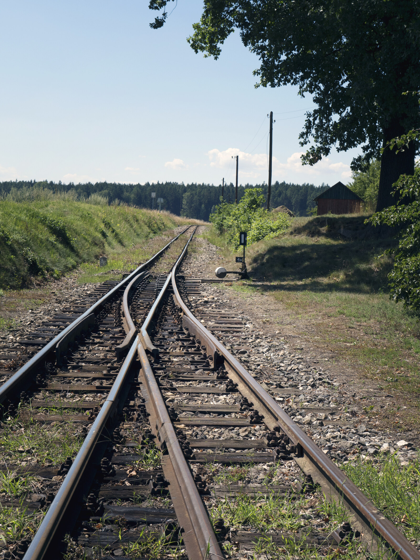 Gleis-Weichen in einsamer, bewaldeter Landschaft.