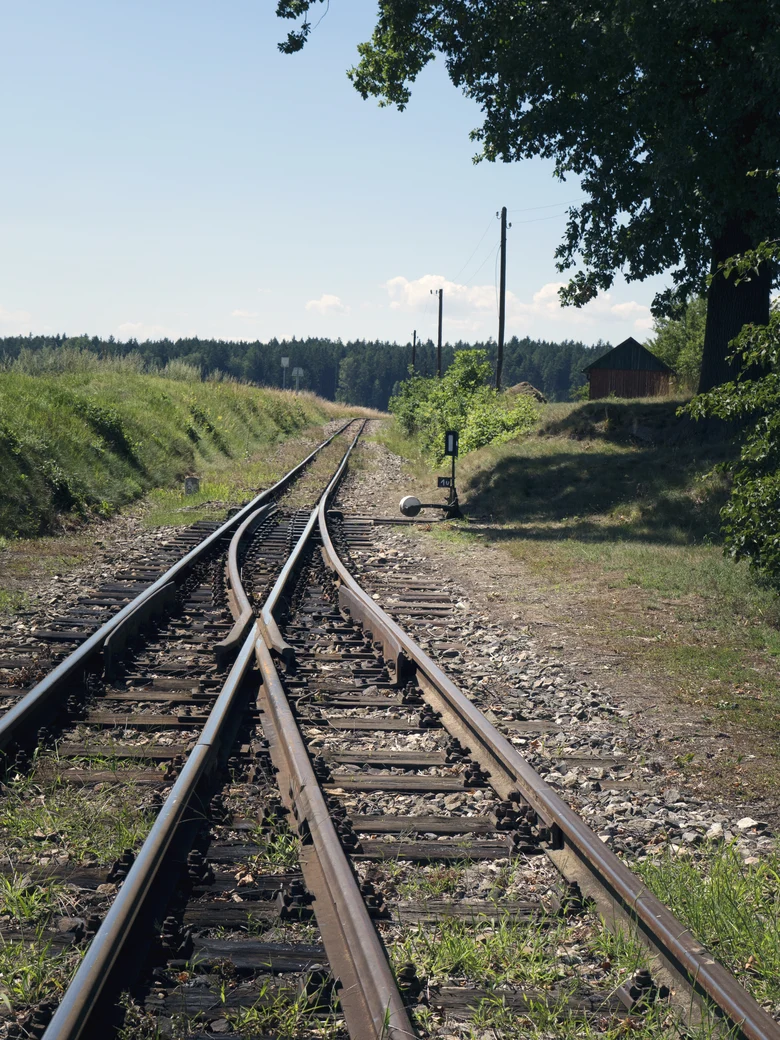 Gleis-Weichen in einsamer, bewaldeter Landschaft.