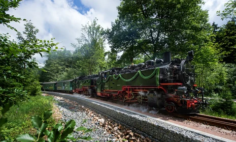 Festlich geschmückte Dampfbahn fährt auf bewaldeter Strecke.