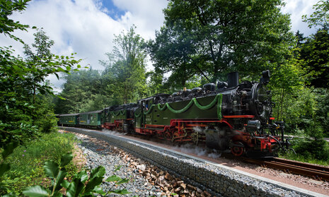 Festlich geschmückte Dampfbahn fährt auf bewaldeter Strecke.